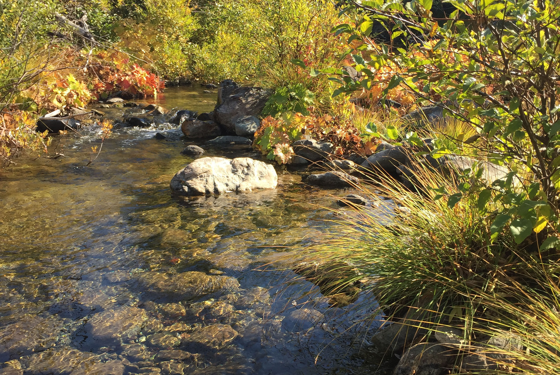 Uncategorized Archives Page 3 Of 4 Wilderness Land Trust