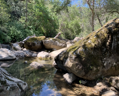 A small stream meanders through boulders