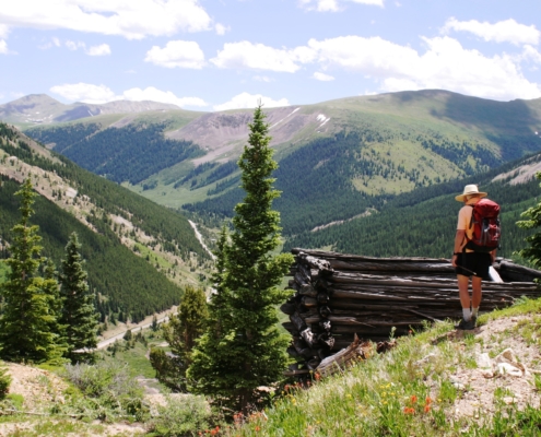 Reid Haughey, Senior Lands Specialist, looks east from the Grandview Lode property