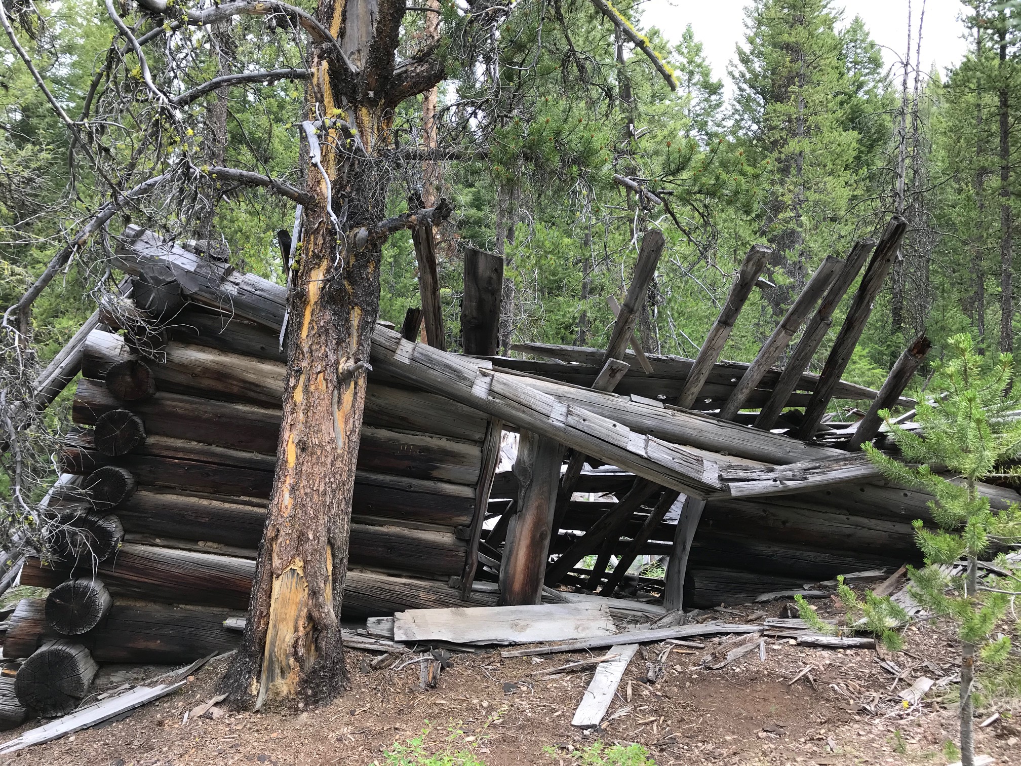 The Things We Value Wilderness Land Trust