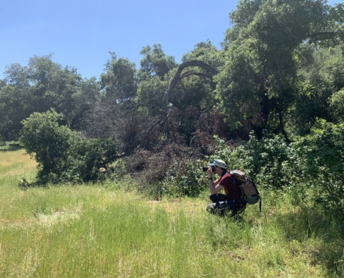 Zack Porter photographing Trout Creek