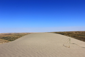 Sand dunes, Juniper Dunes Wilderness