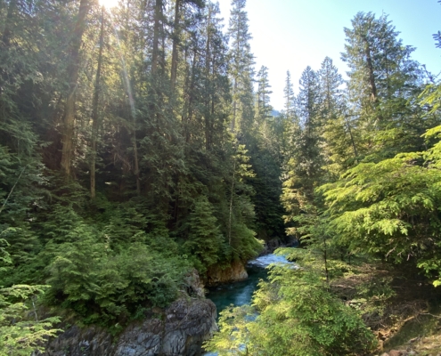 Silver Creek flows through jagged rocks and lush undergrowth on its way to the Skykomish River