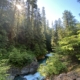 Silver Creek flows through jagged rocks and lush undergrowth on its way to the Skykomish River