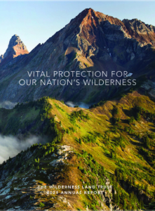 Cover image of The Wilderness Land Trust's 2021 Annual Report depicts the rugged North Cascades in Washington state.